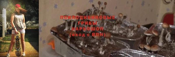 сатива Алексеевка