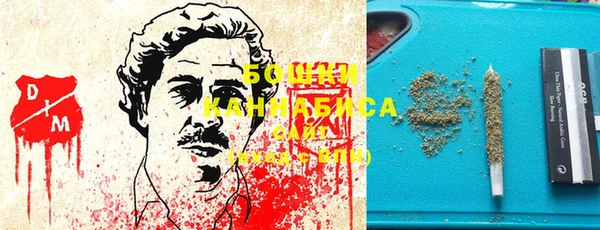 сатива Алексеевка