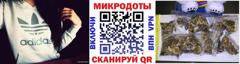 Псилоцибиновые грибы мицелий  Алзамай 